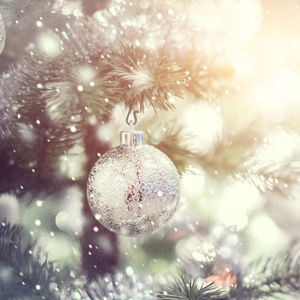 Sterling Vineyards' Christmas Tree Lighting Ceremony